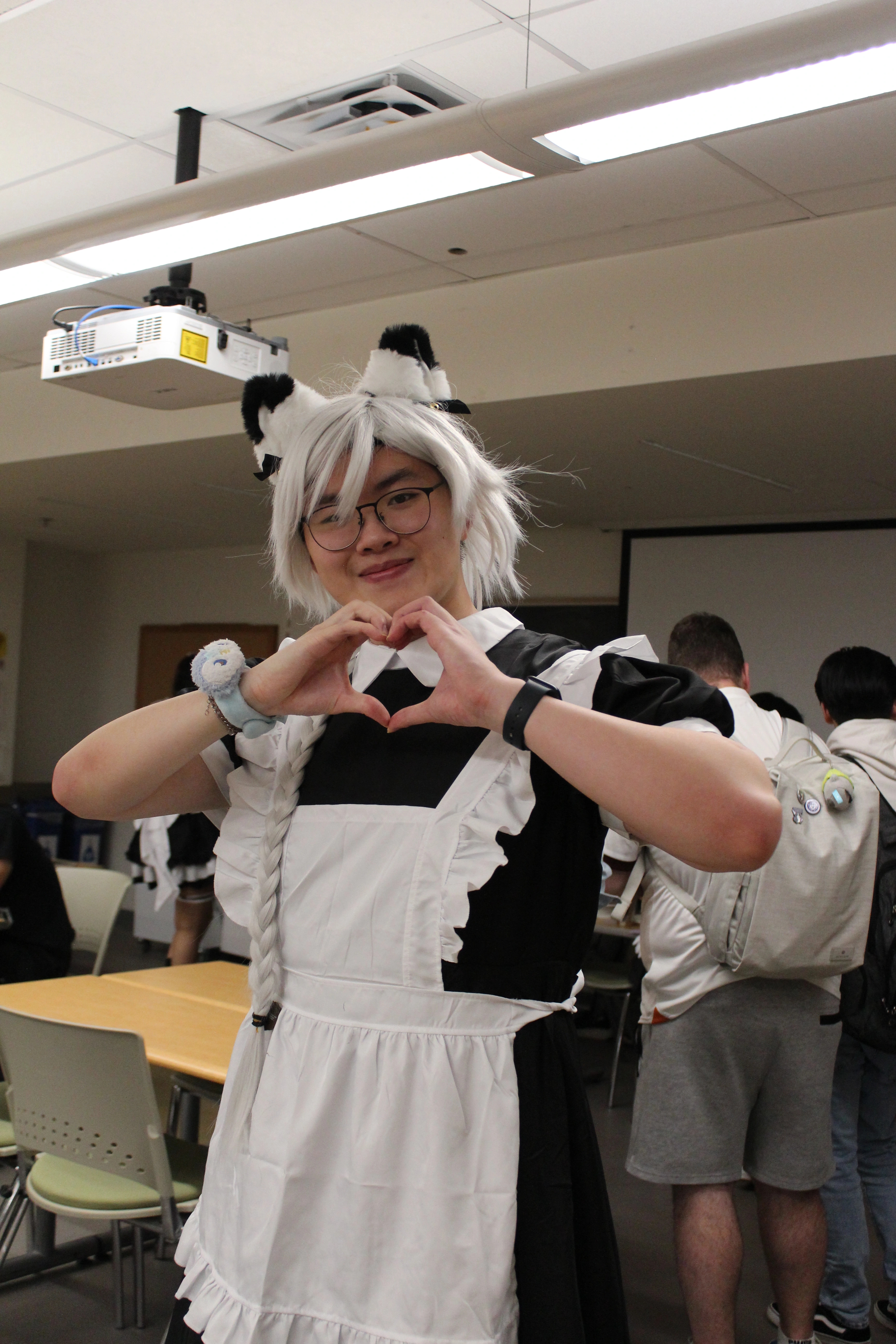 Anifest image