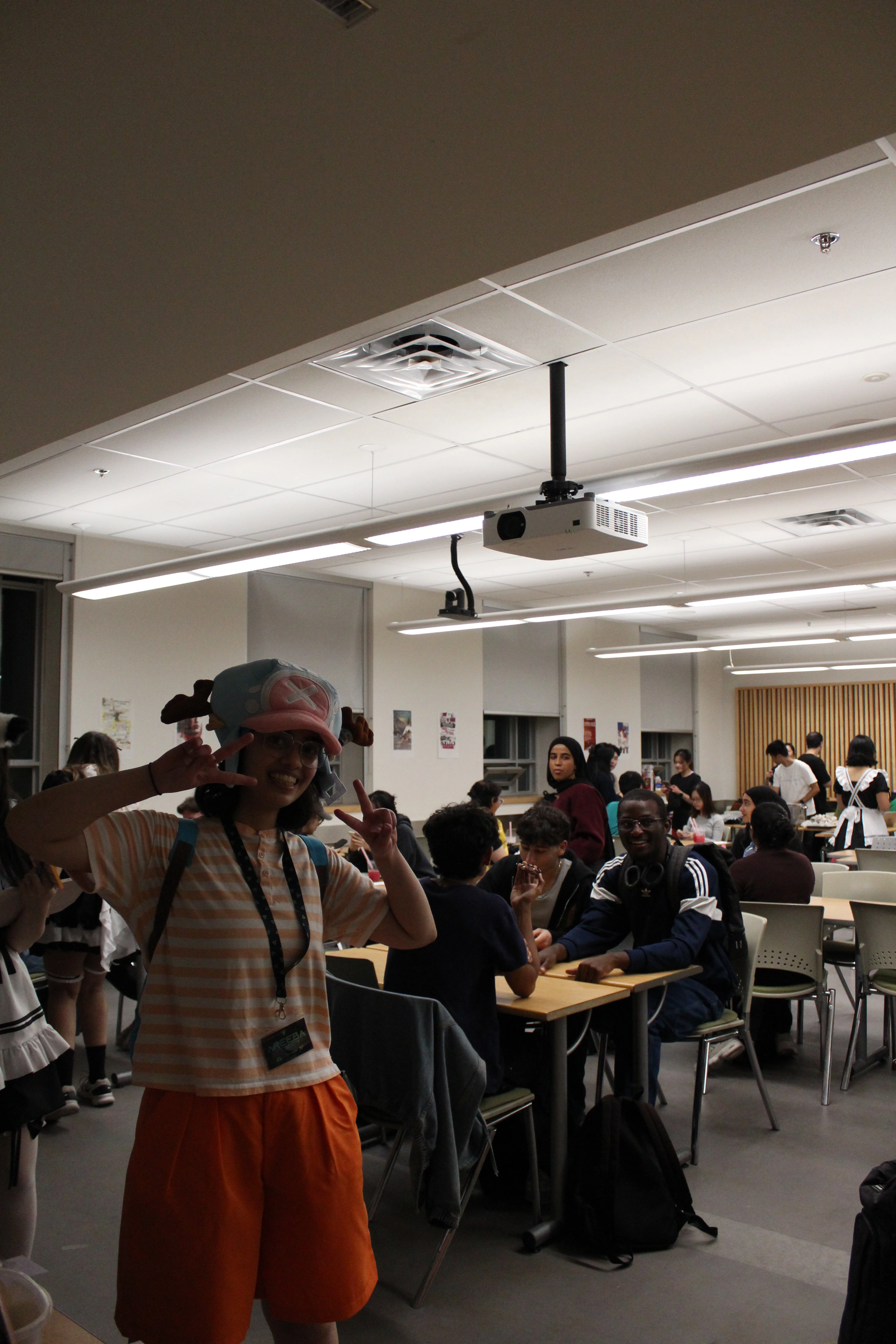Anifest image